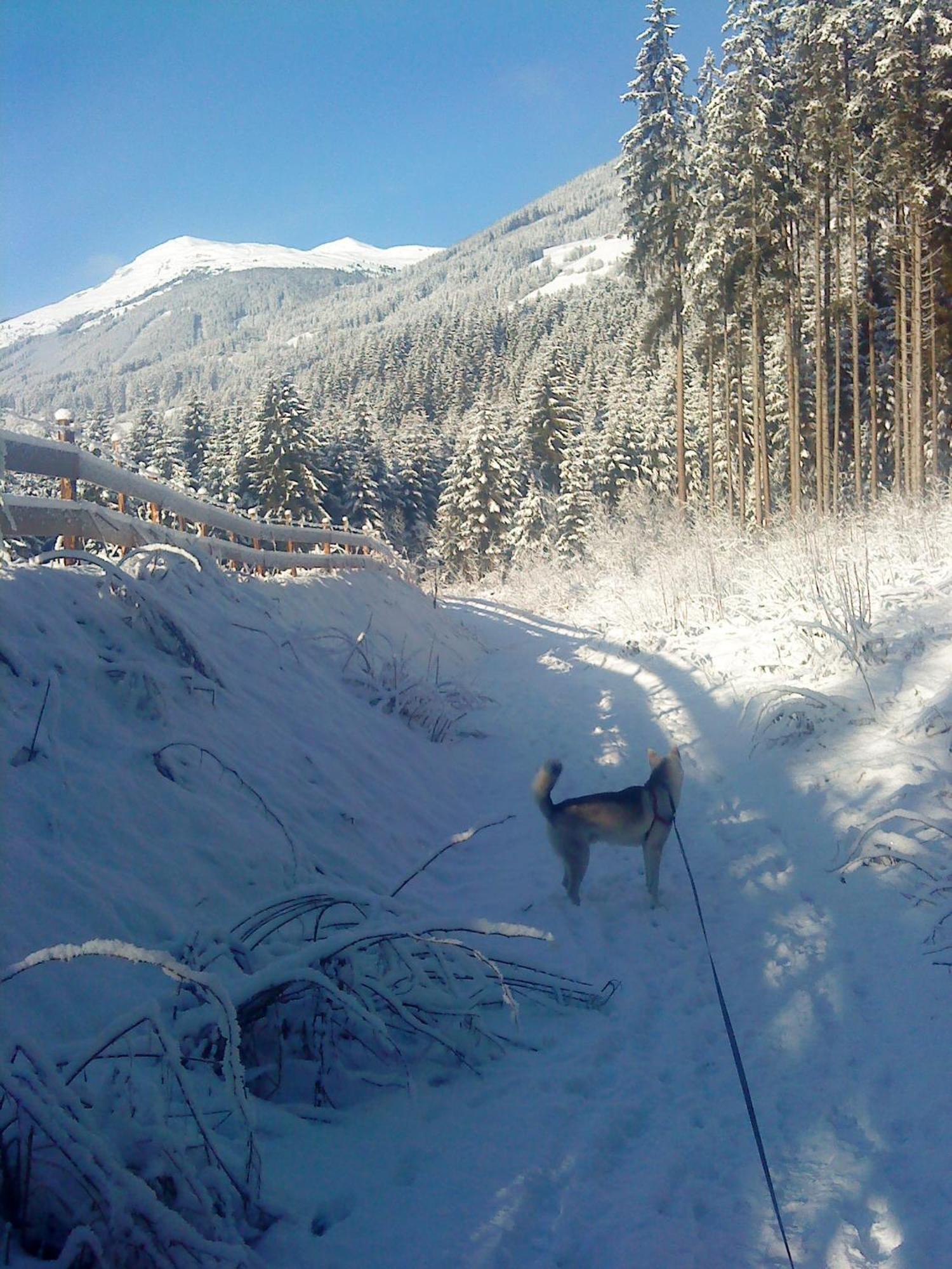 Appartement Wildkogel Neukirchen am Großvenediger Kültér fotó