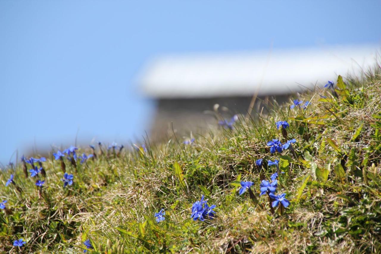 Appartement Wildkogel Neukirchen am Großvenediger Kültér fotó