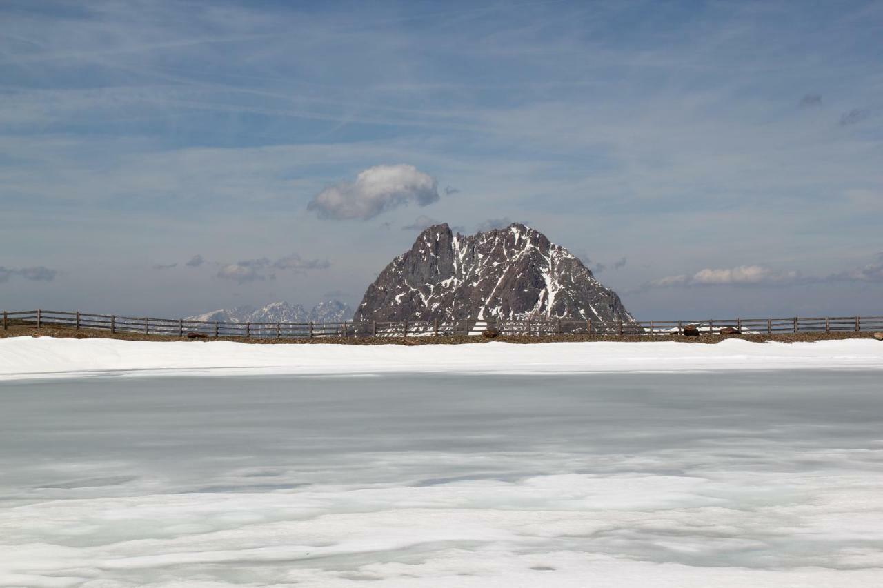 Appartement Wildkogel Neukirchen am Großvenediger Kültér fotó