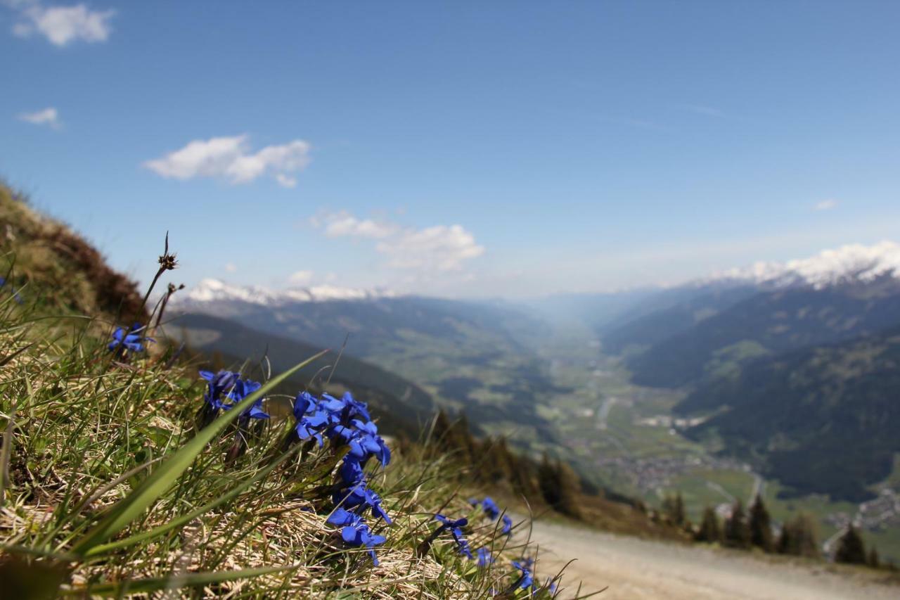 Appartement Wildkogel Neukirchen am Großvenediger Kültér fotó